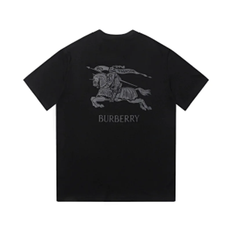 Burberry T-shirt tee  (30+)