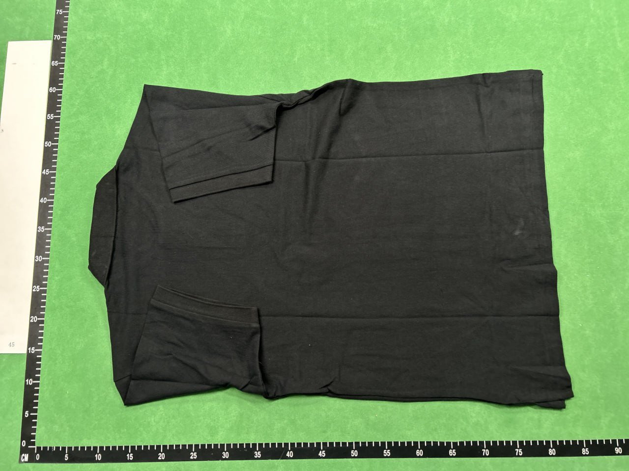 Ralph Lauren polo T-shirt（30+）