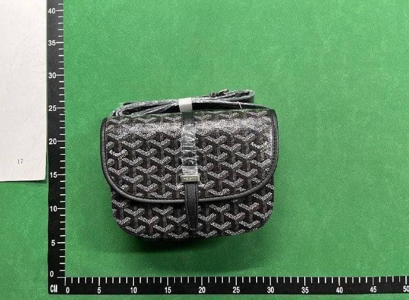 Goyard Saint Louis Card Holder -4