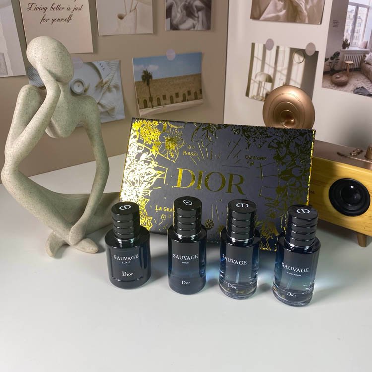 Dior Gold Box Wilderness Medium 4-piece Set-3448                   -3