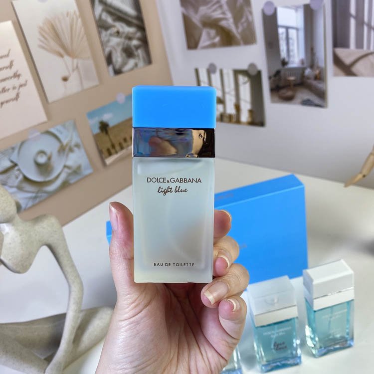 Dolce & Gabbana DG light blue medium four-piece set-3121                   -3